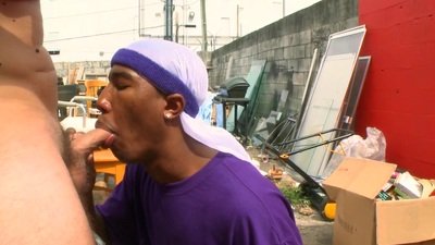 anal ass from CFNMEU