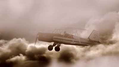 anal ass from XXL Cock